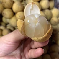 Bòn bon loại 1, sản phẩm an toàn